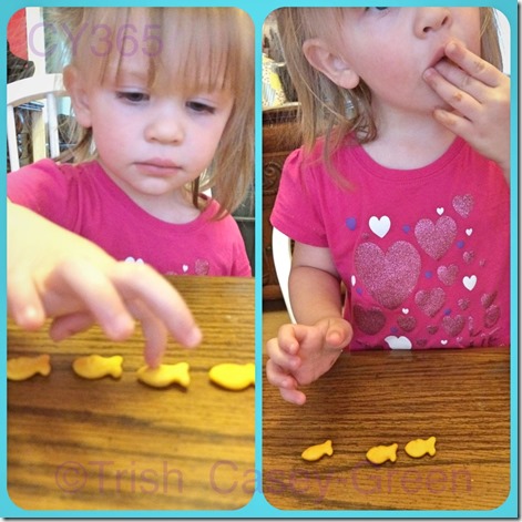 10323109_10204208564718274_1150149561_n