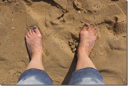 10339719_10204384247990246_5152872294502304076_n