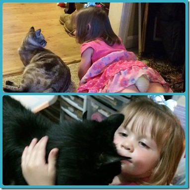 10346781_10204302823114675_629768280_n