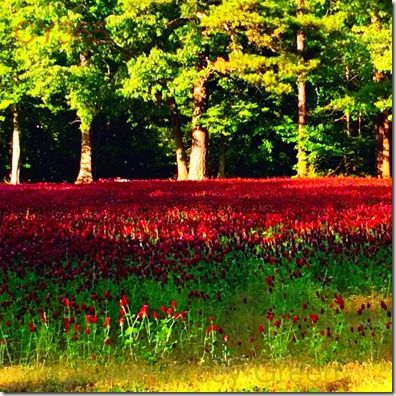 10356508_10204288200709124_2133519859_n