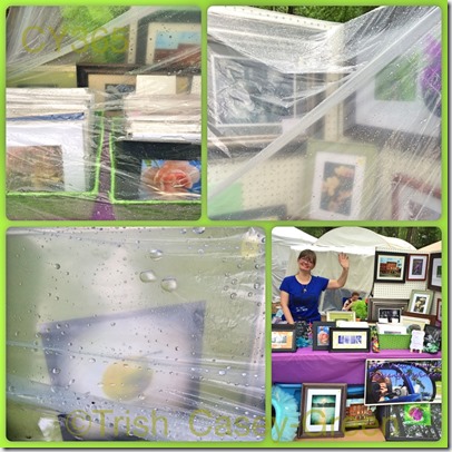 10358104_10204294220379612_178875535_n