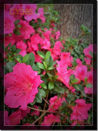 10364532_10204332556257985_345801874_n