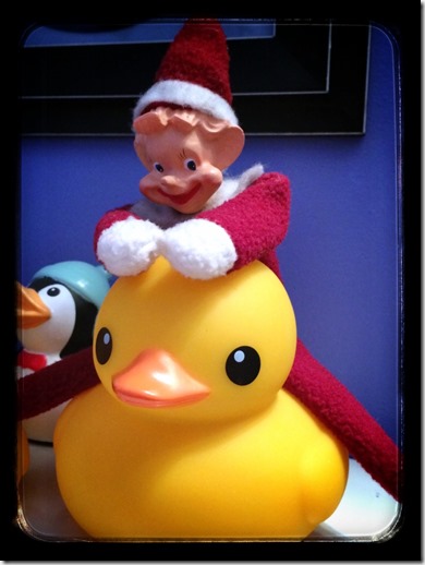 10388413_10204391217564481_904664300_n