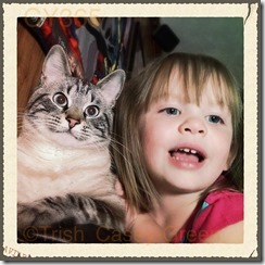 10416779_10204405650445294_1823147592_n