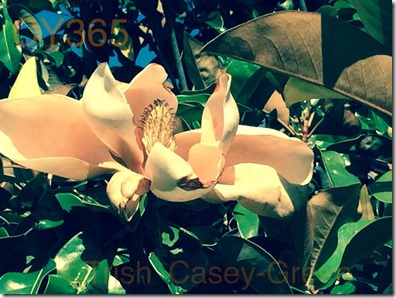 1469970_10204398065815683_2300716121727731158_n