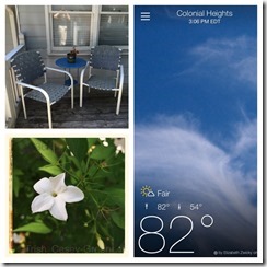 974664_10204451177263436_1750758651_n