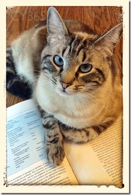 10269649_10204513742827536_7487498761320497644_n