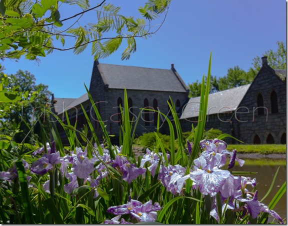 10325683_10204461817009423_3929625972508188175_n