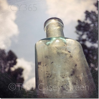 10361113_10204603935762303_1224312150_n