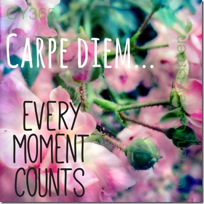 10425628_10204498459565464_676693487_n