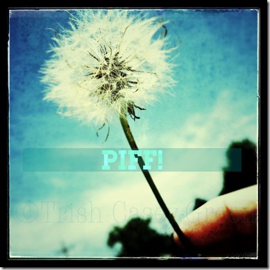 10447201_10204512464395576_677531282_n (1)