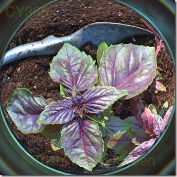 10447278_10204484505296616_783711611_n