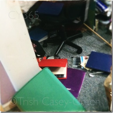 10472205_10204547481230975_880256143_n