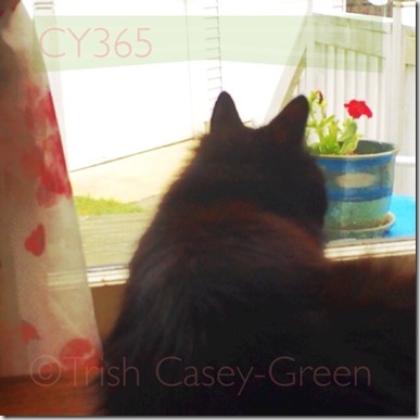 10475599_10204563077980884_1813871940_n