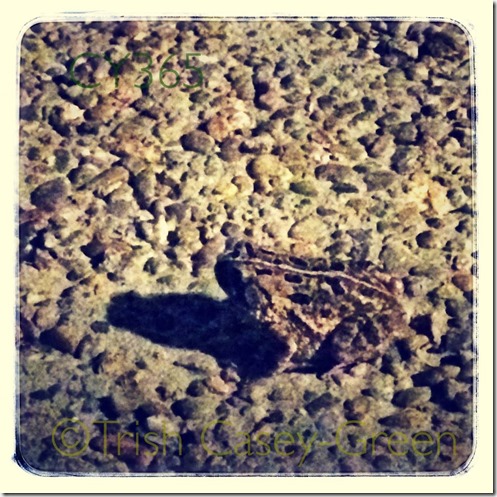 10487728_10204643491431170_242615168_n