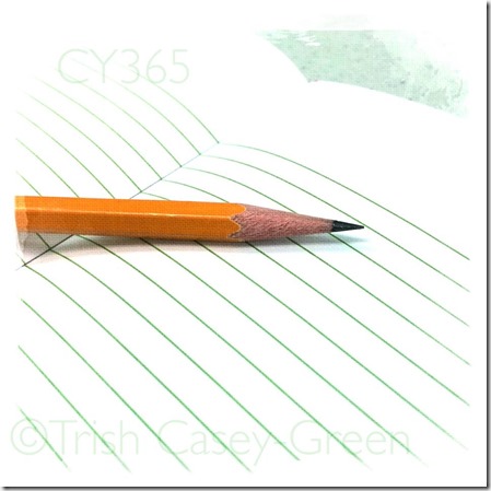 10483136_10204687209124085_741651893_n