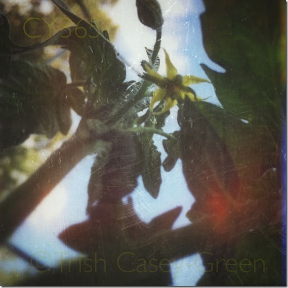 10524814_10204681214174215_951041755_n