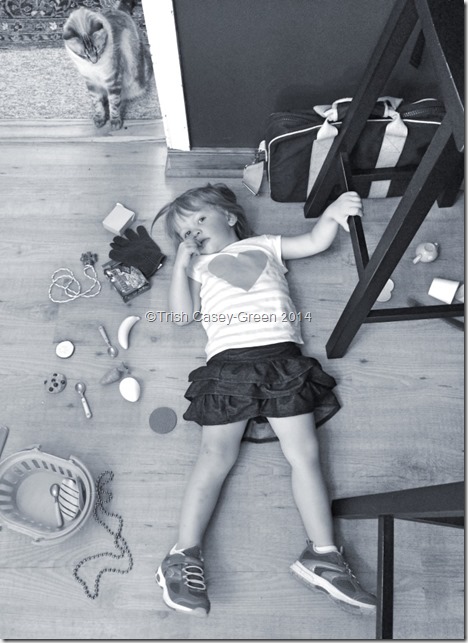 10525011_10204723053620175_599147453_n