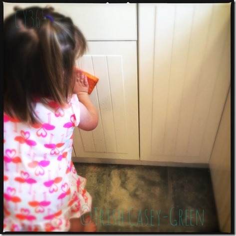 10527971_10204718611349121_68777331_n