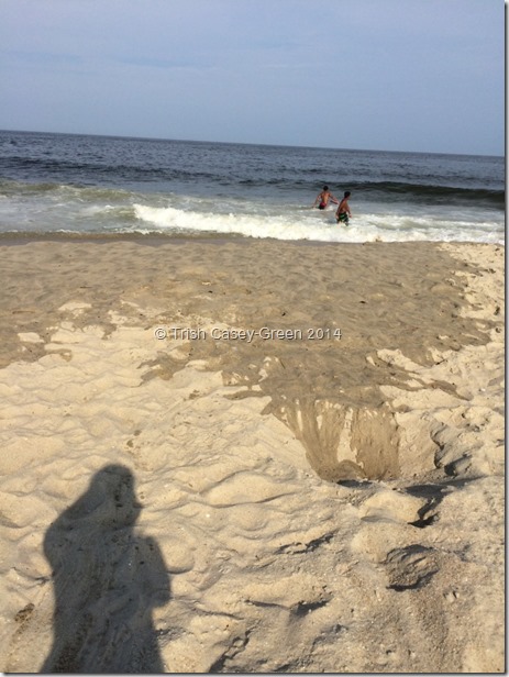 10527994_10204744339152300_1386816436_n