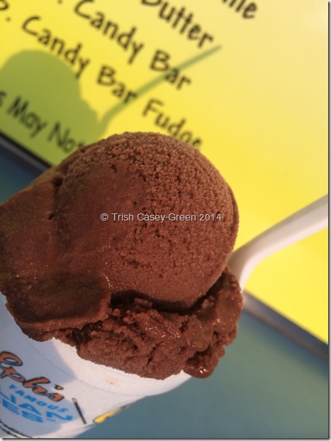 10529447_10204751105681459_116295765_n