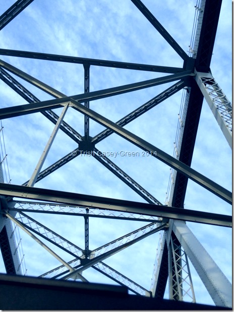 10534296_10204744725681963_1805264725_n