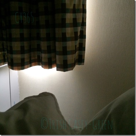 10544804_10204741886810993_1374605779_n