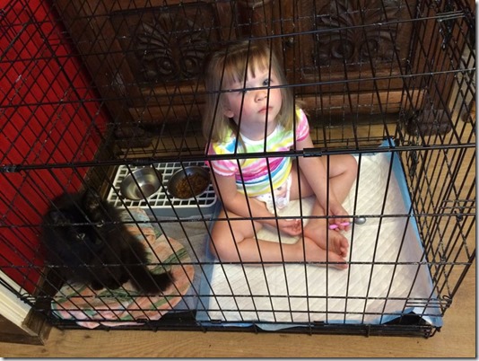 10555414_10204821645044899_768164777_o