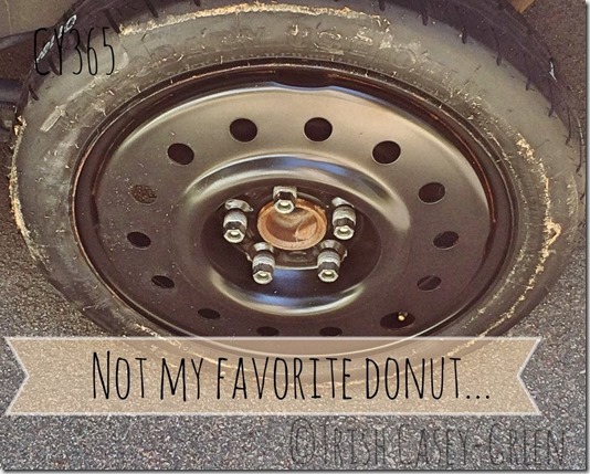 10563442_10204836691661055_1632279663_n