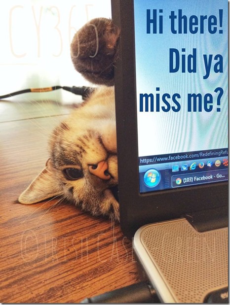 10564760_10204786723571884_2088935908_n