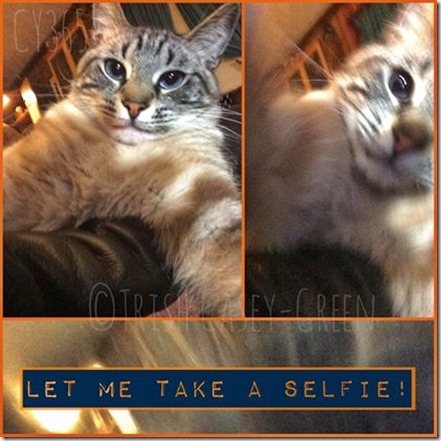 10490124_10205067055420005_1009608477_n