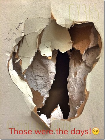 10568026_10204884249689976_442863248_n