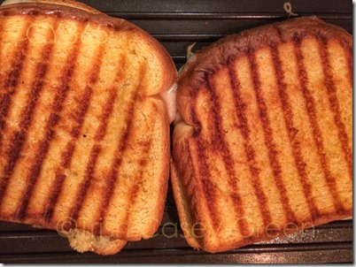 10579773_10204958624549301_135435231_o