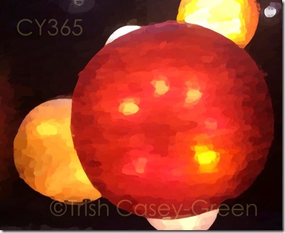 10595724_10204971937242110_1104610234_n