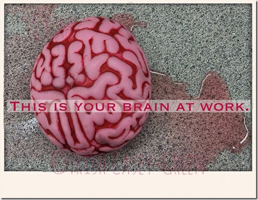 10602663_10205026773252976_1046634624_n