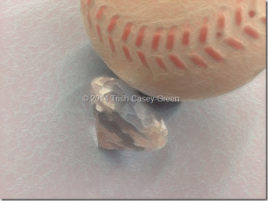 10602731_10205007400248663_252501503_n