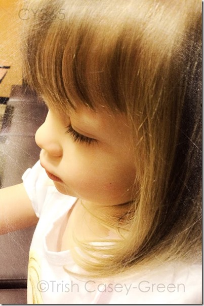 10602850_10204972055525067_1002667901_n