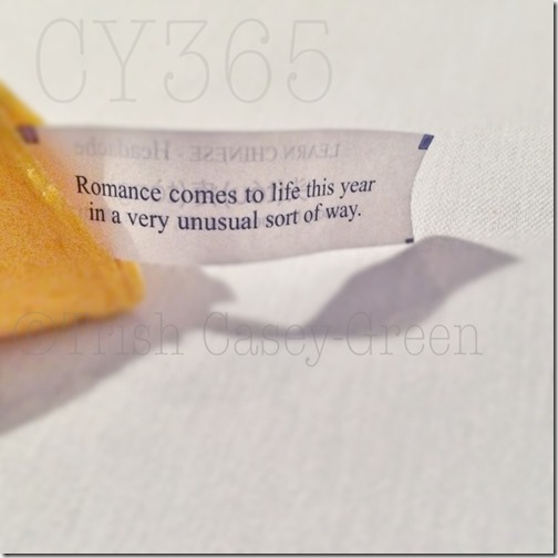 10609338_10205073123331699_325388582_n