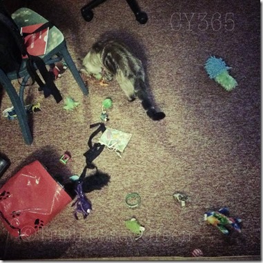 10621818_10205112530076843_161518595_n