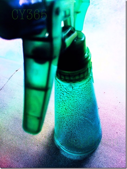 10637977_10205092185248235_1636272922_n