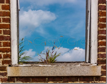 20140828-20140828-IMG_0042