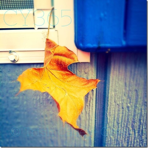 10621830_10205380050844695_2066926187_n