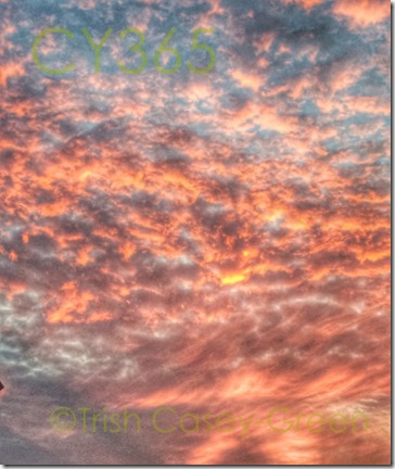 10634208_10205189710086295_1414833275_n (2)