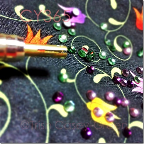 10705327_10205314571607755_946294578_n