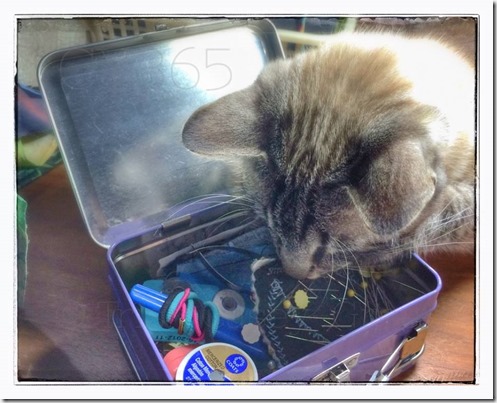 1476317_10205406923476494_2099424457017333270_n