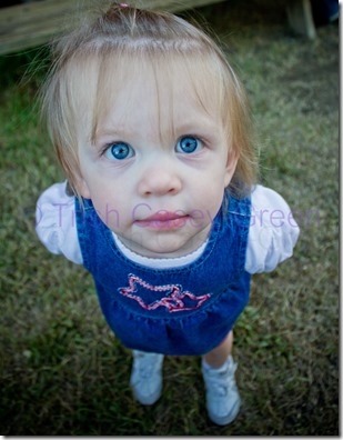 20130826-20130826-IMG_5332