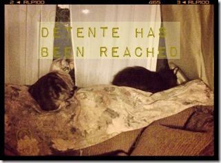 10177918_10205589398798263_1490209379156425604_n