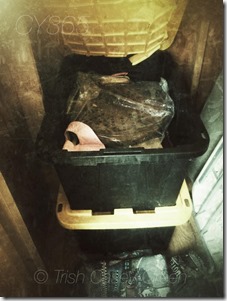 10406732_10205601579262767_5553441968668407128_n