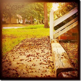 10671358_10205457364097478_3552252115983591302_n