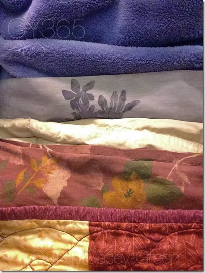 10362844_10205812473855000_1445700831741306555_n